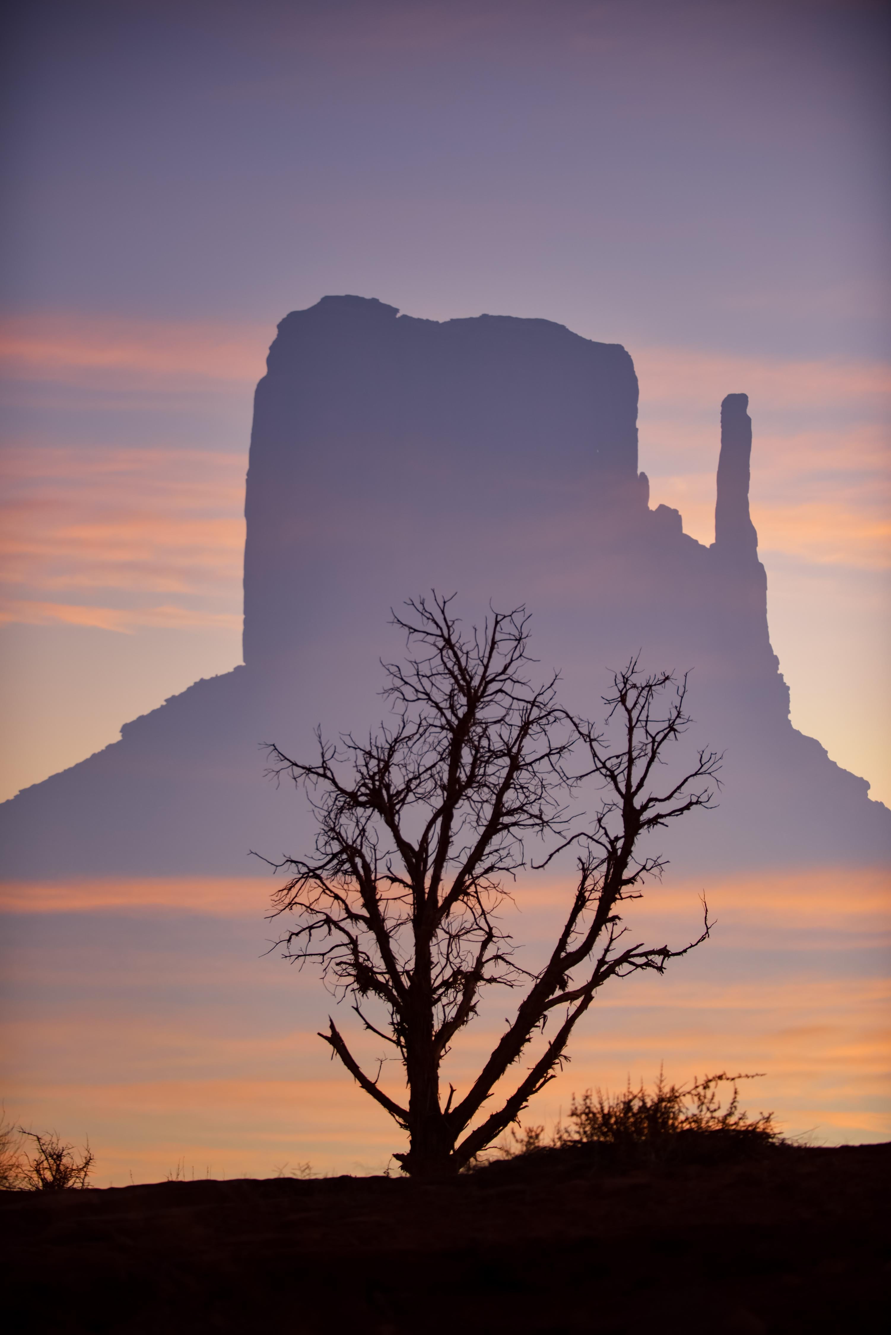 Keith Ladzinski Landscape Photograph - Among the Ancient