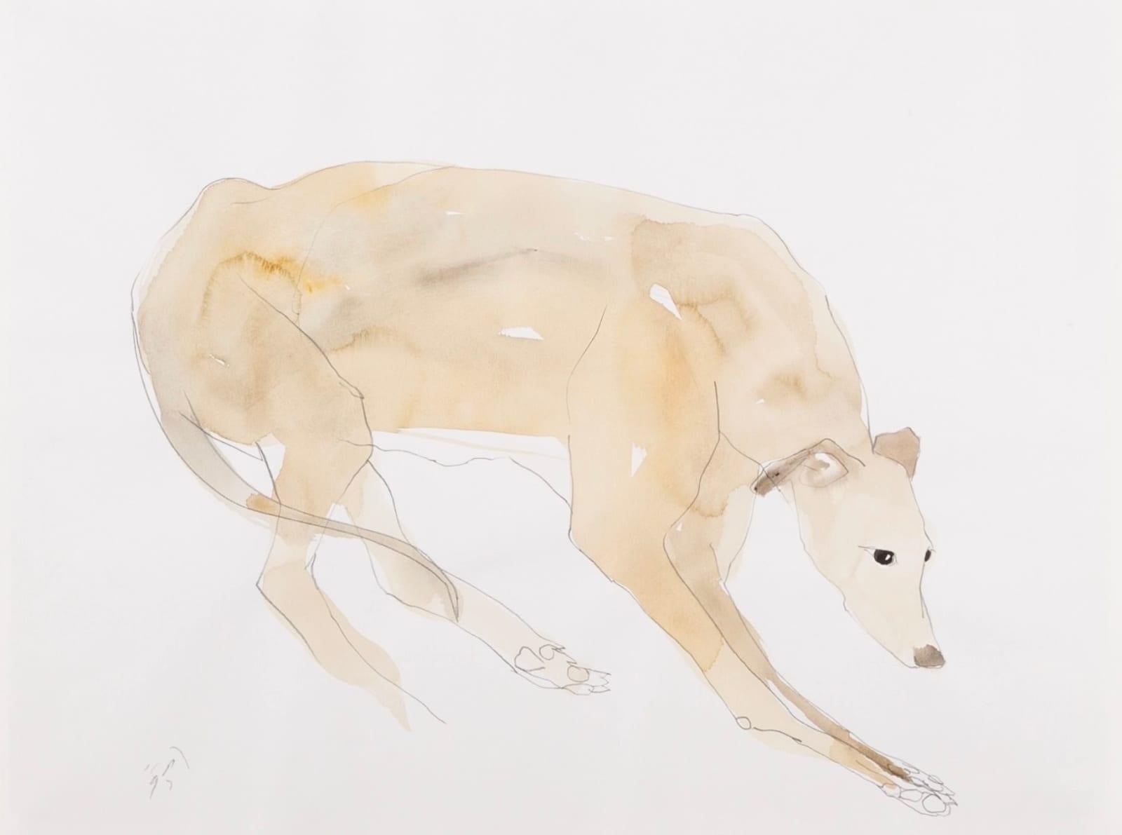 Long Dog I Painting by Keith Purser B. 1944, 1997

Additional information:
Medium: Watercolour and pencil
Dimensions: 36 x 48 cm
14 1/8 x 18 7/8 in
Signed

Keith Purser lives and works on the edge of the desert-like environment of Europe's largest