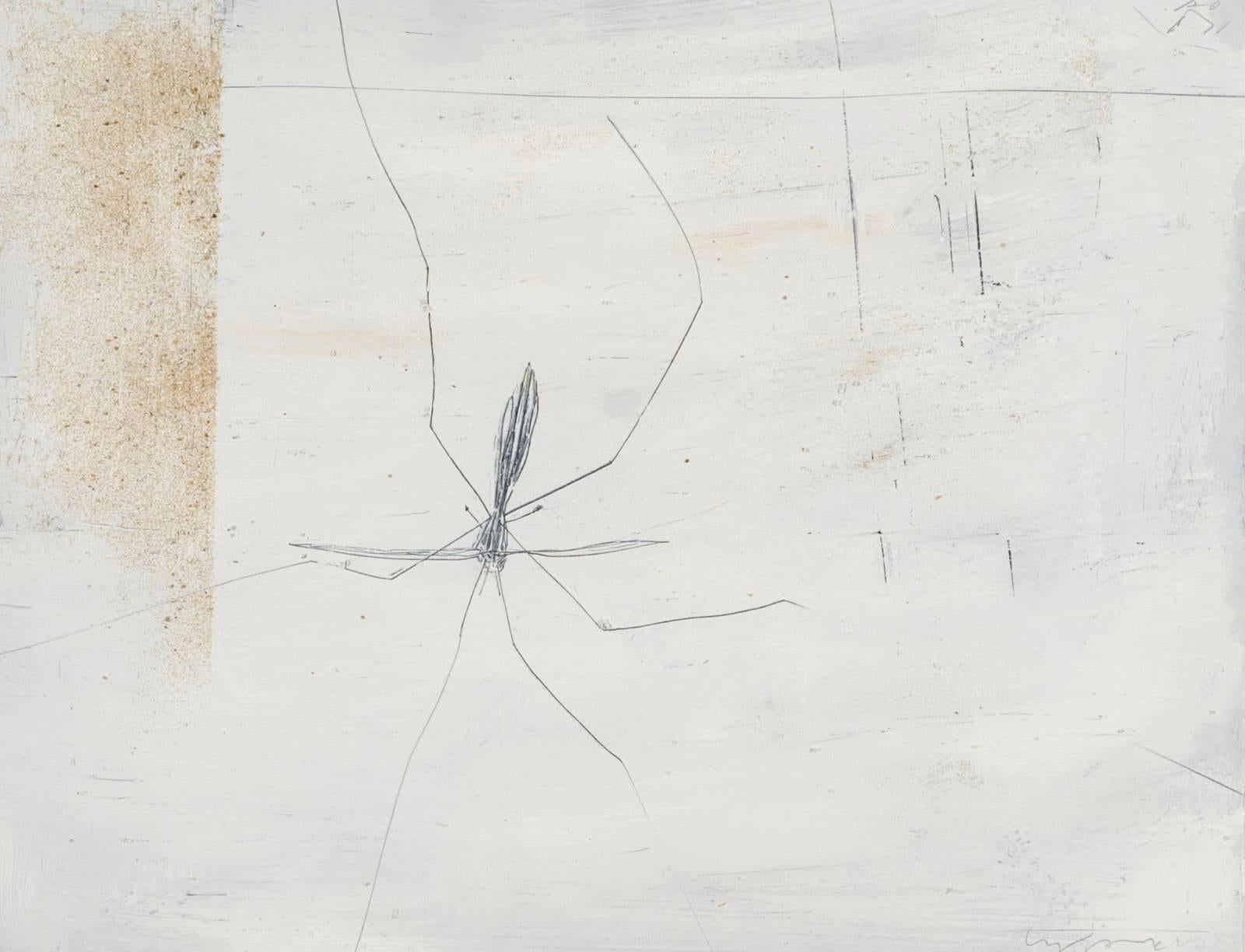 Oil and Pencil on Board 'Cranefly' Painting by Keith Purser B. 1944

Additional information:
Medium: Oil and pencil on board
Dimensions: 13 x 17 1/2 in
33 x 44.5 cm

Keith Purser lives and works on the edge of the desert-like environment of Europe's