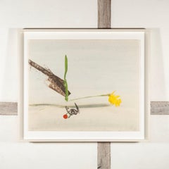 Pintura Vuelo de primavera de Keith Purser, 2012