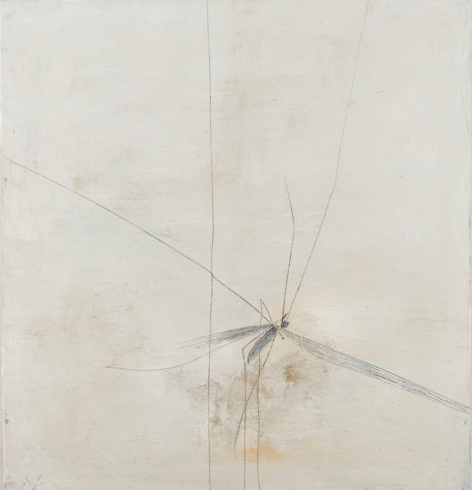 Tipula Maxima Painting by Keith Purser B. 1944, 2008

Additional information:
Medium: Oil on plywood
Dimensions: 51 x 48 cm
20 1/8 x 18 7/8 in
Signed, dated and titled.

Keith Purser lives and works on the edge of the desert-like environment of
