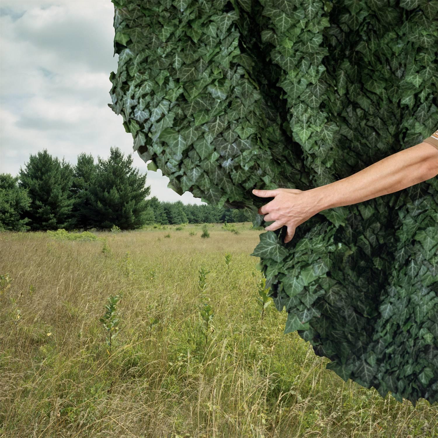 Keith Sharp Landscape Photograph – Vorhänge, 2010