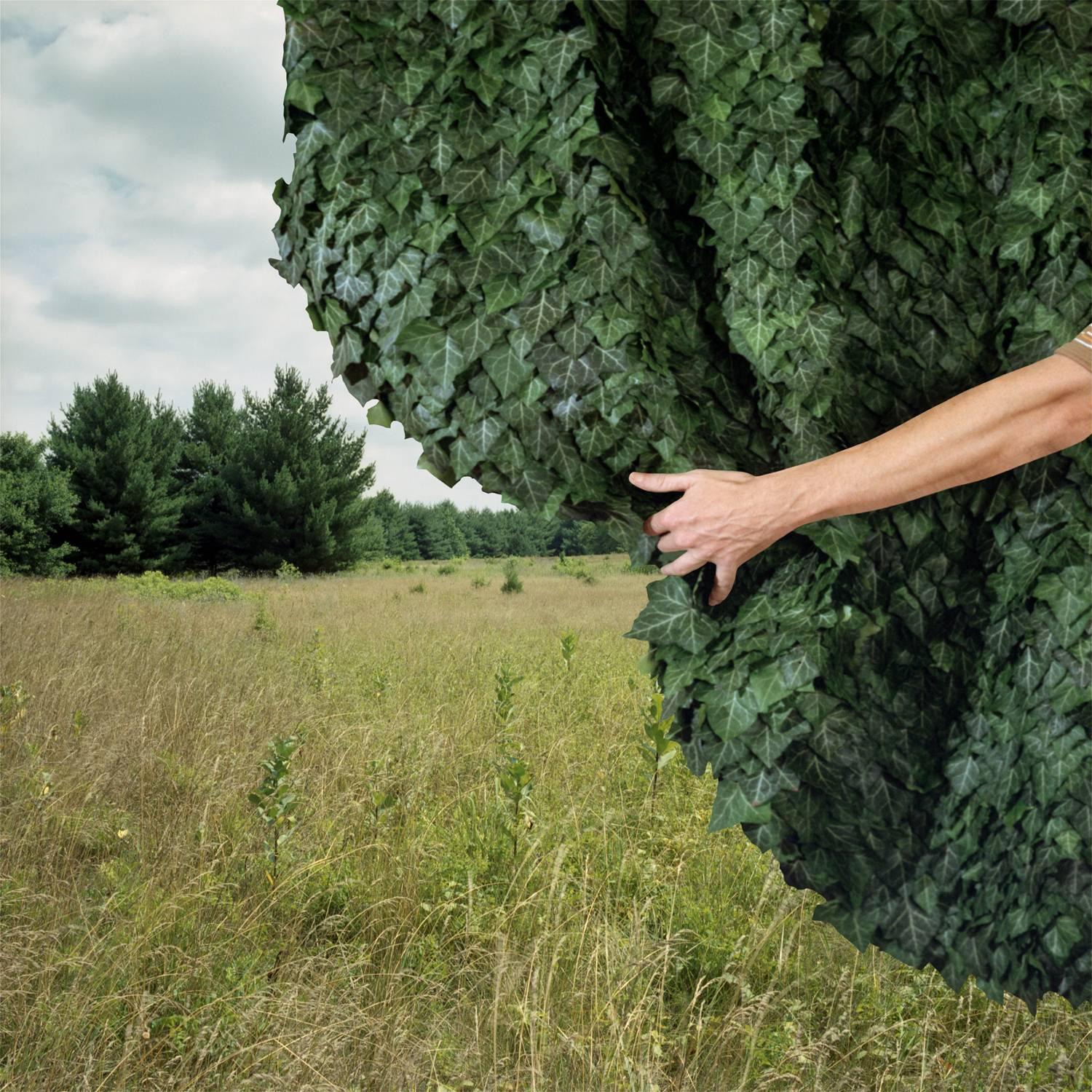 Keith Sharp Landscape Photograph - Curtain, 2010 