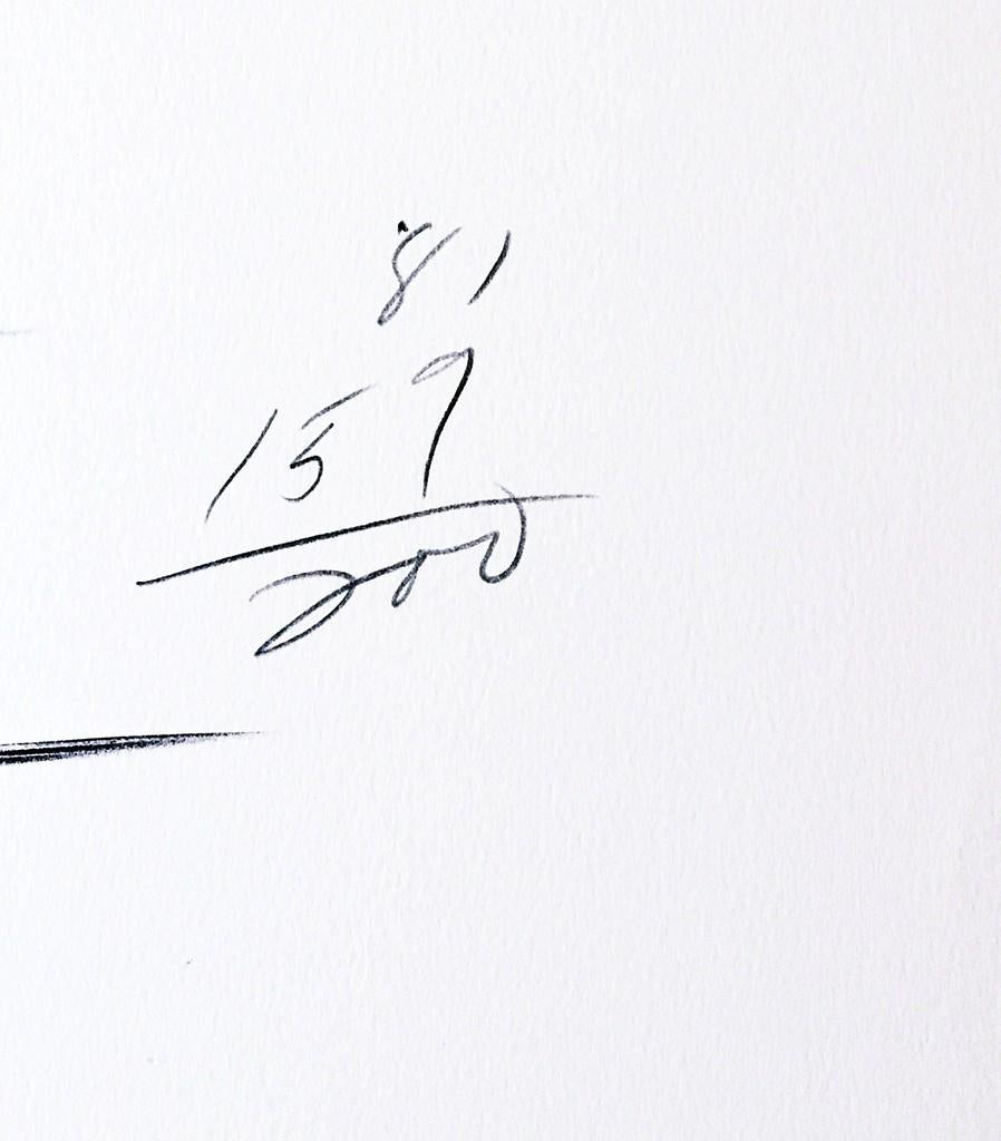 Keith Sonnier
Bildhauerische Lithographie ohne Titel, 1981
Lithographie auf Papier mit Wasserzeichen
 Signiert, nummeriert 159/200 und datiert in Graphitstift auf der Vorderseite
Veröffentlicht von Waterstreet Press
29 4/5 × 21 3/4