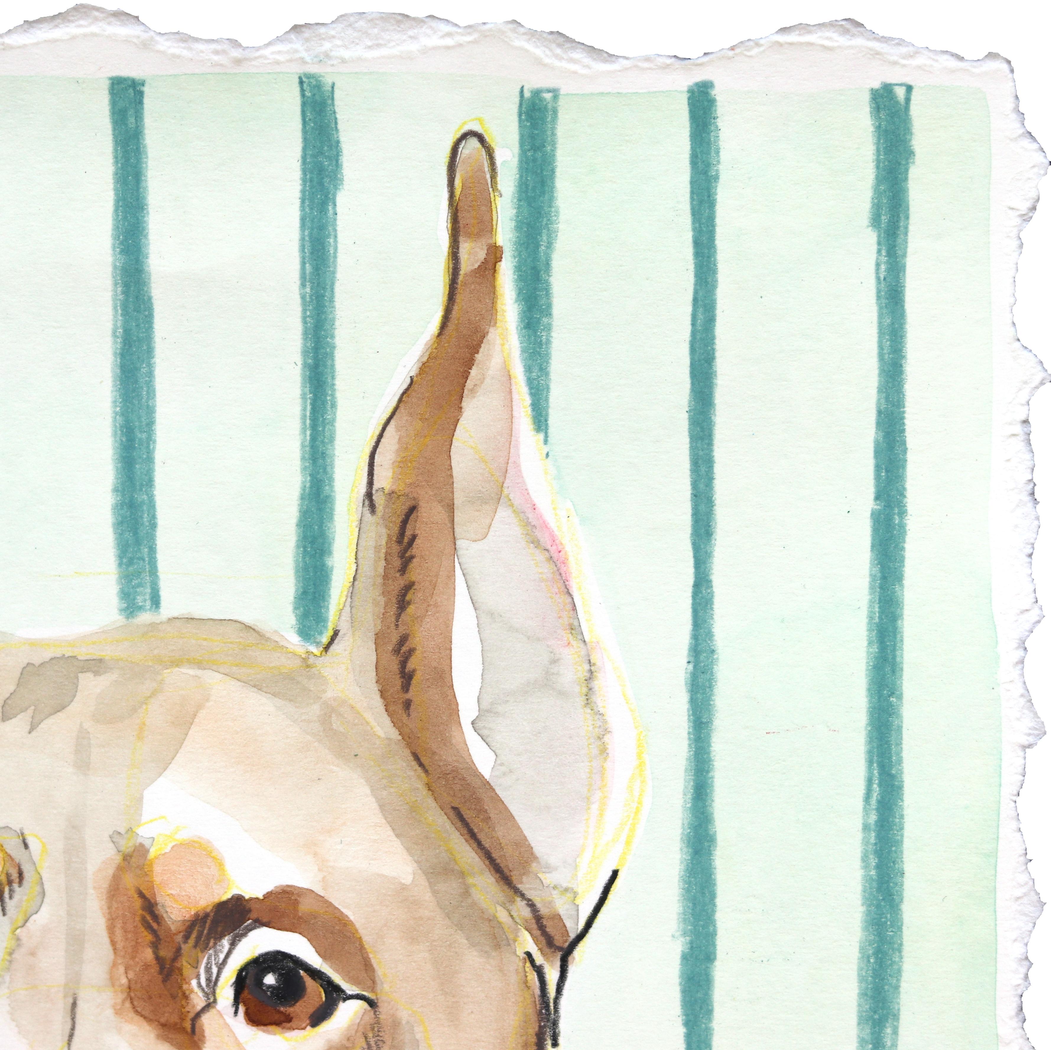 Alert - Ritratto di cane dipinto su carta - Mixed Media Art Contemporaneo di Kellie Newsome