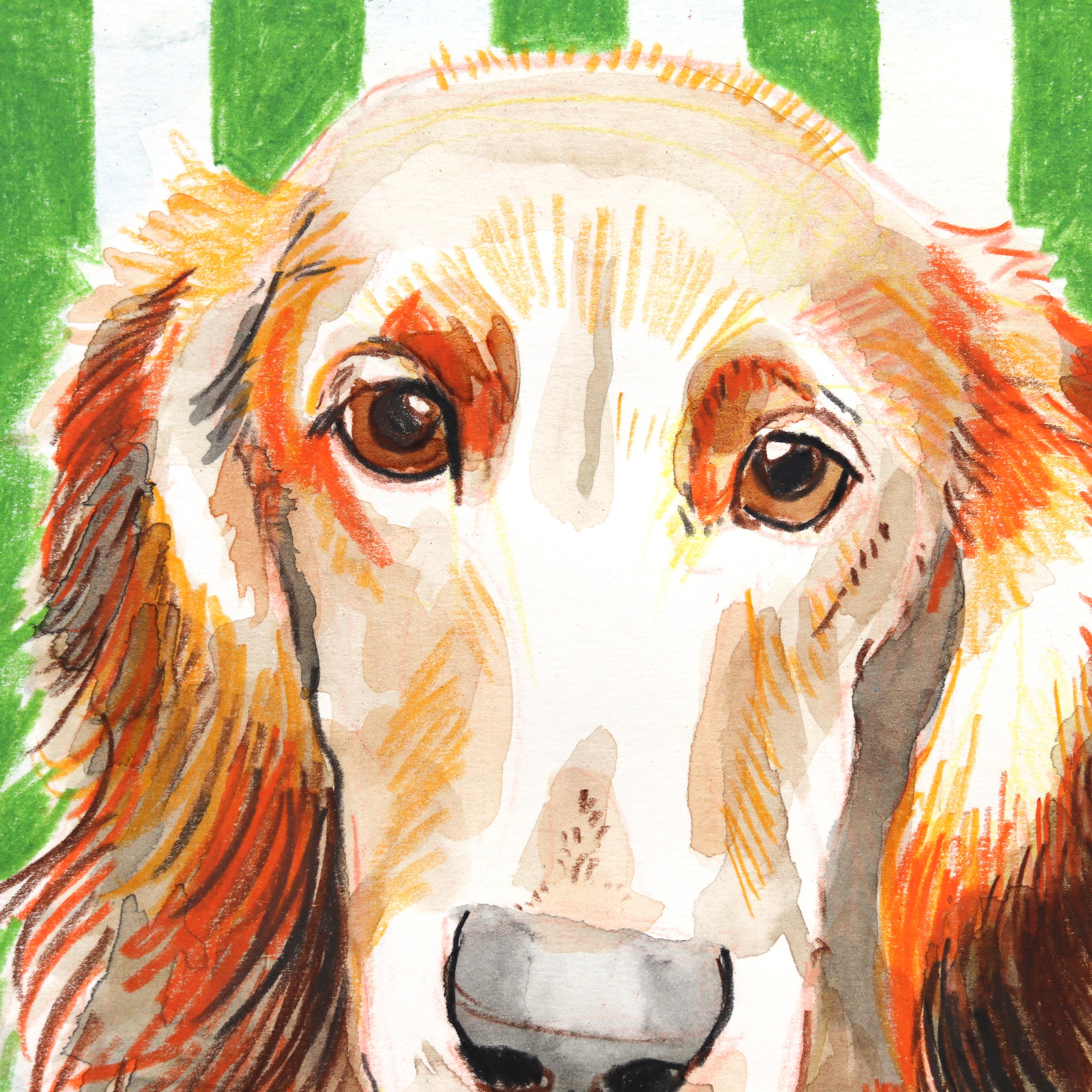 Amore bassotto - Ritratto di cane dipinto su carta - Animal Painting Bianco di Kellie Newsome