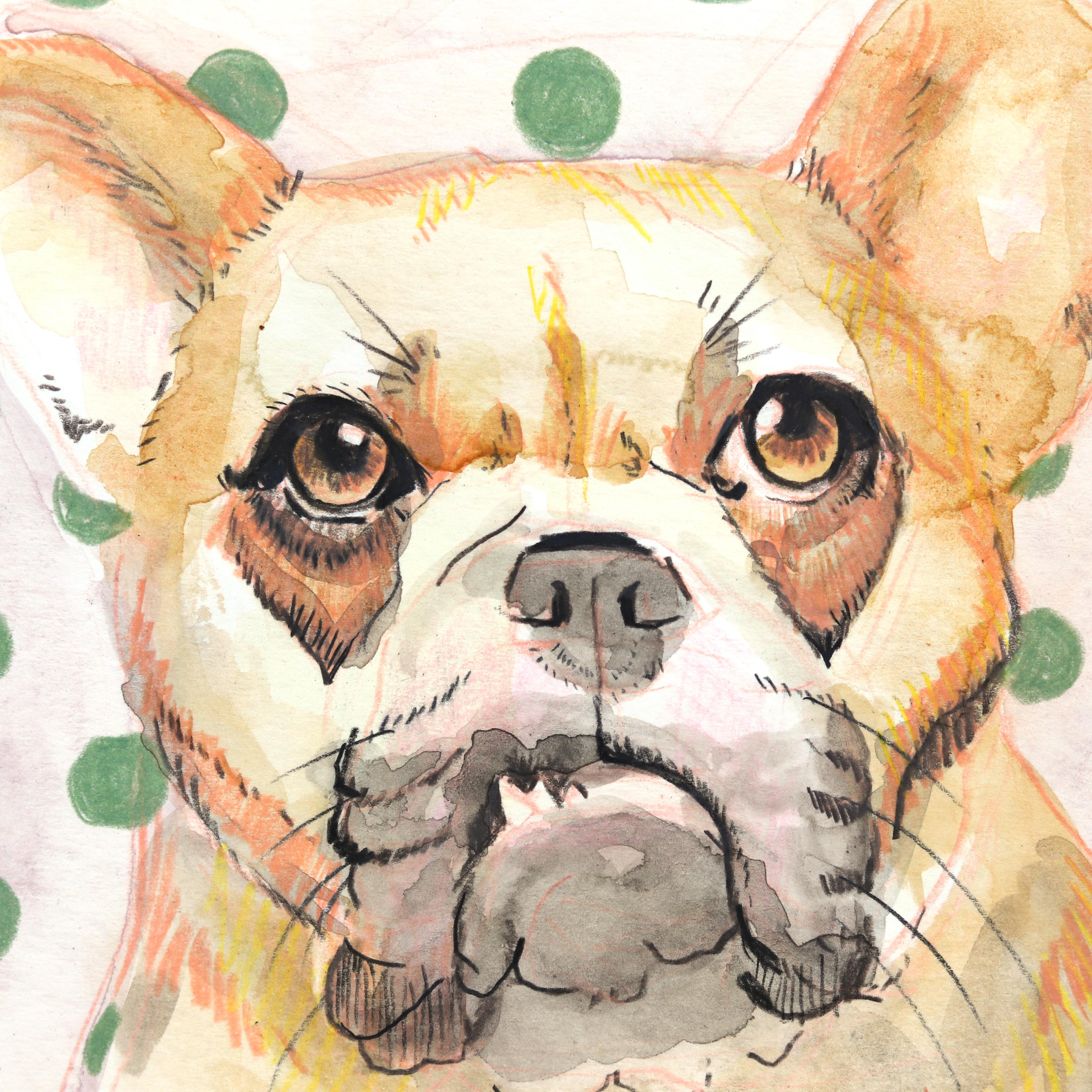 Mug Shot - Retrato de perro Pintura sobre papel - Animal Painting Beige de Kellie Newsome