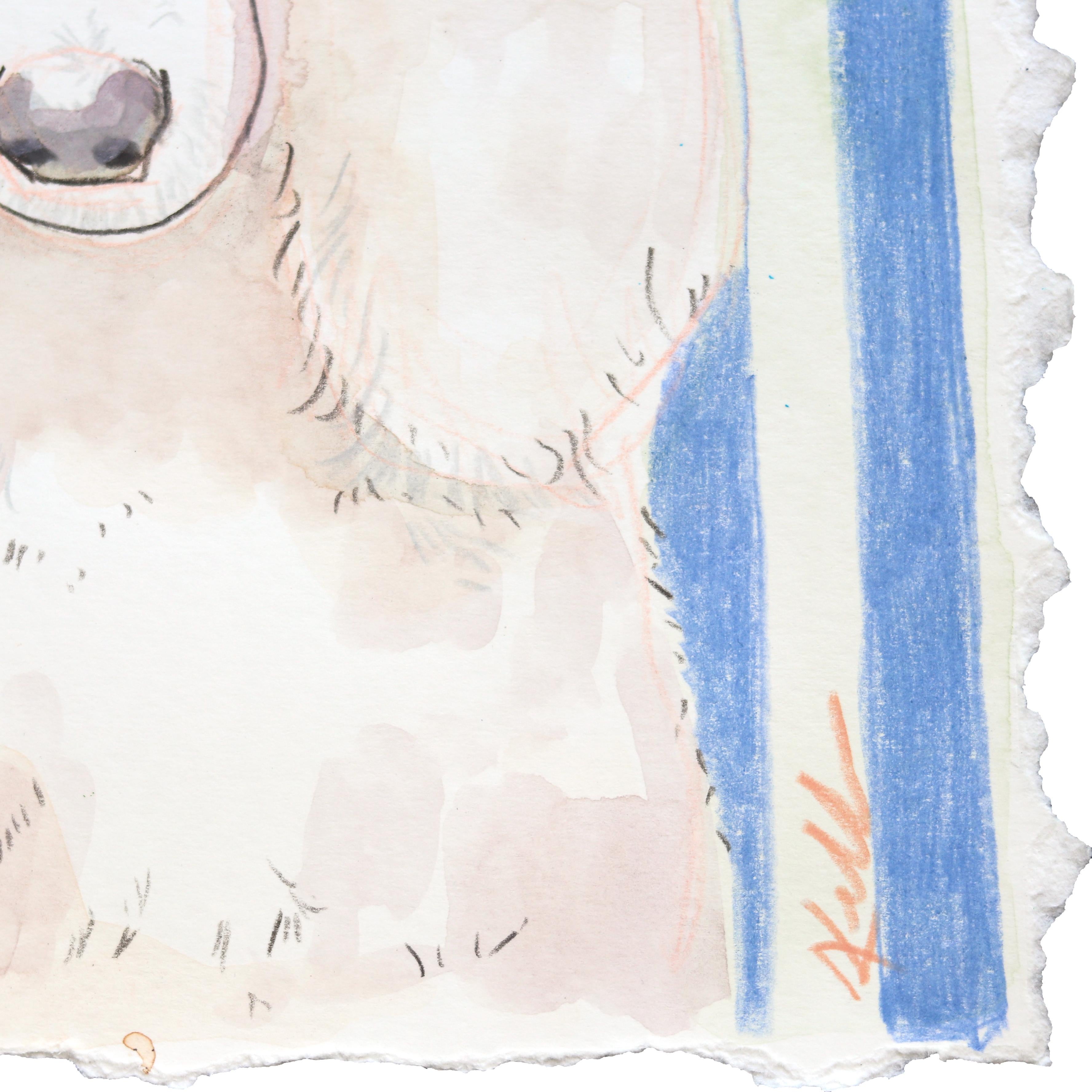 Powder Puff - Dog Portrait Painting on Paper 2