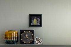 "Pear Wrapped in Plastic" Oil Painting by Kelly Birkenruth