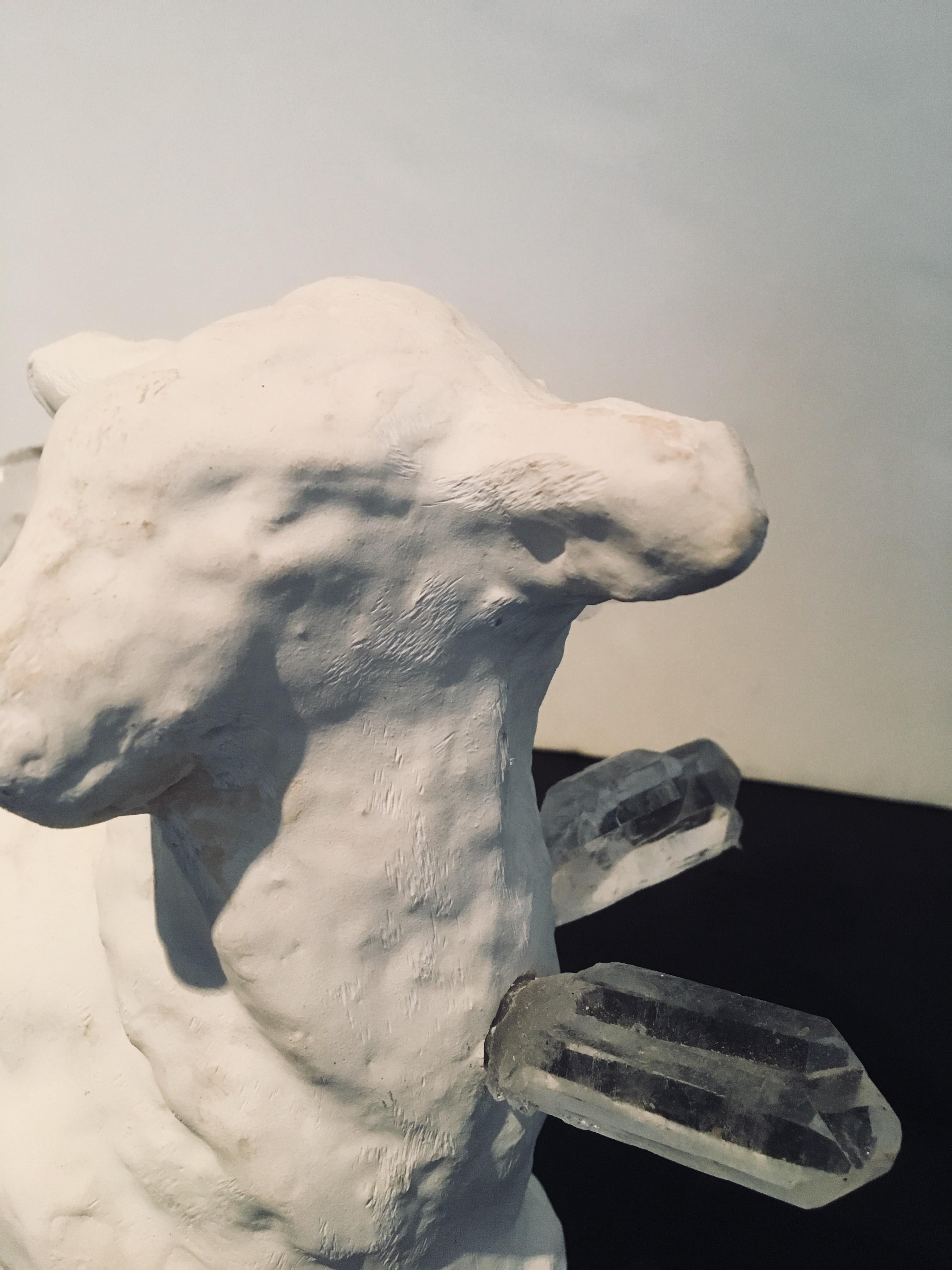 Abstract Lamb & Crystal Sculpture: 'Lamb Crystal' 6
