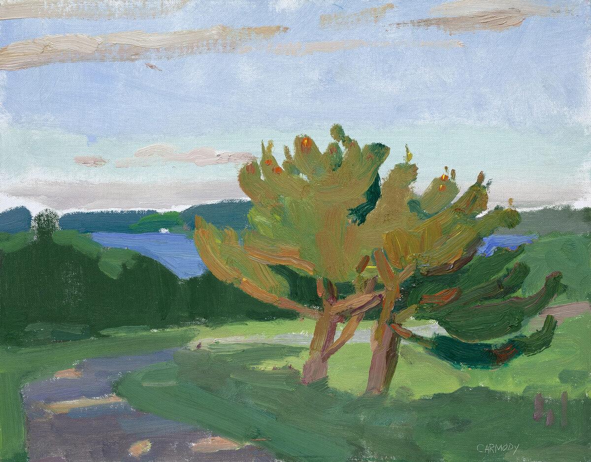 "Sera di giugno", dipinto a olio, paesaggio illuminato dal sole con albero, vista sull'acqua, incorniciato - Painting di Kelly Carmody