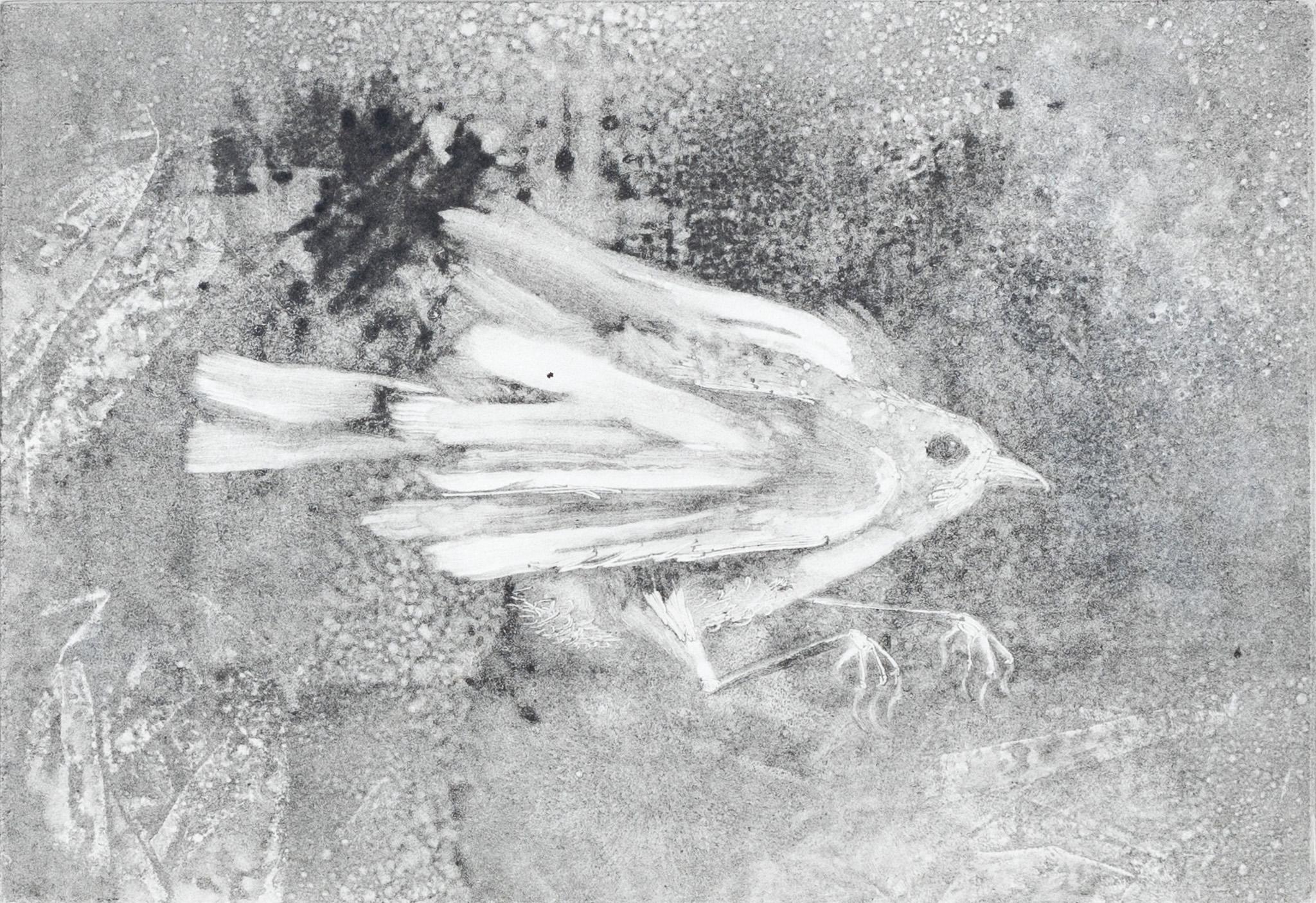 Pájaro en la lluvia, nº 1 y nº 2