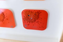 "Così cresce" Ricamo e assemblaggio di oggetti trovati