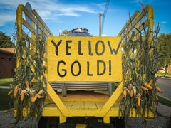 Oro giallo  (Americana, Midwest, Classico, Vintage, Mais, Fattoria, ~30% OFF)