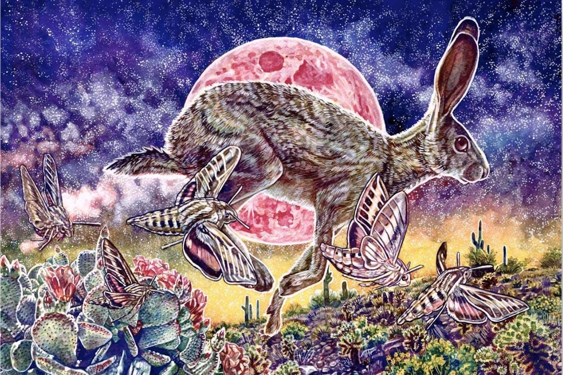 Kelsey Worth Animal Painting – Surrealistisches Kaninchengemälde, „Frühjahrsnocturne“ 