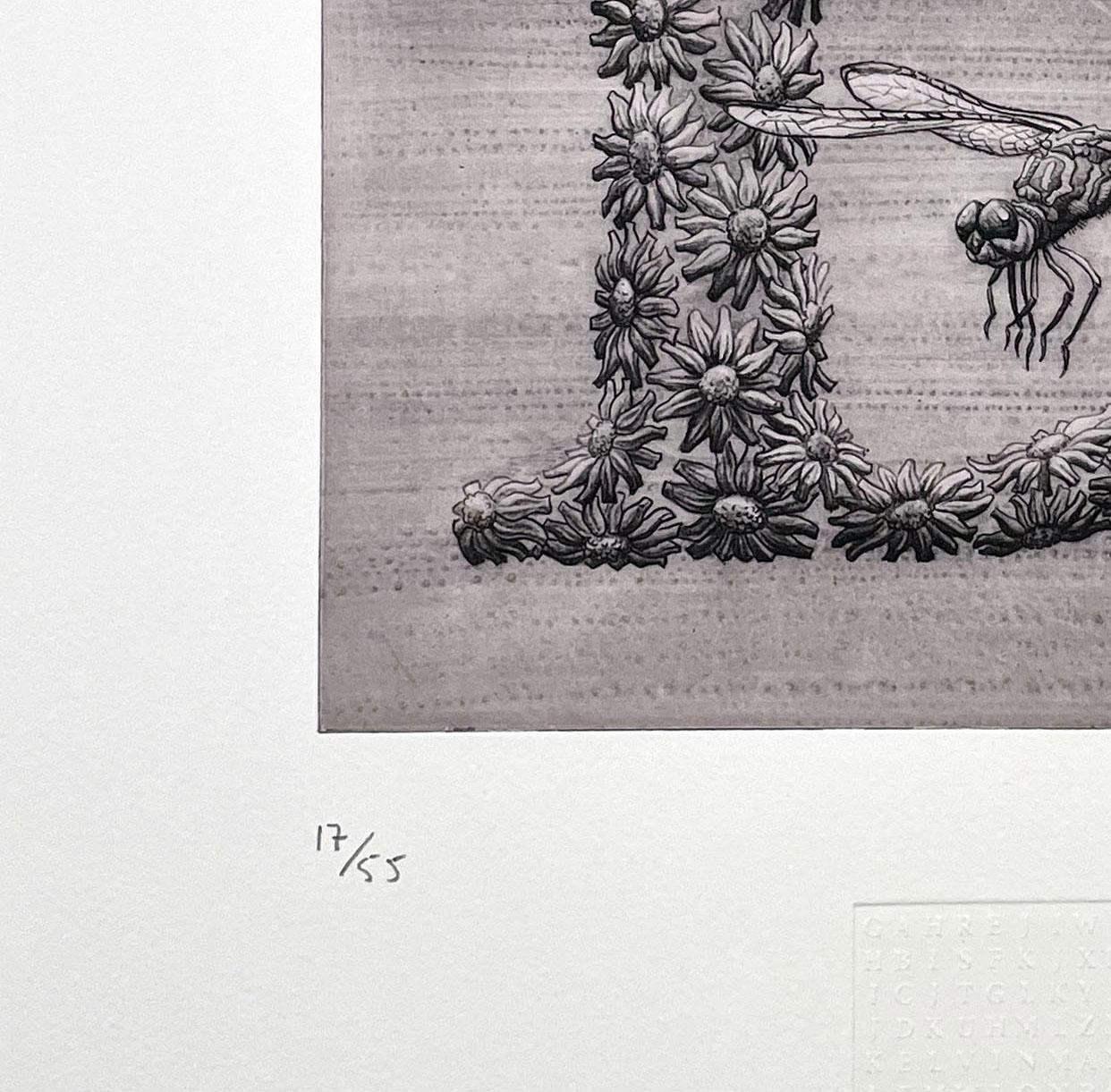 « D », alphabet animal pour libellule - Contemporain Print par Kelvin Mann