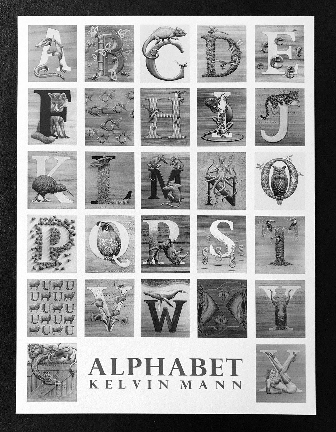 « D », alphabet animal pour libellule en vente 1