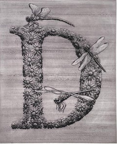 "D", from animal alphabet for dragonfly