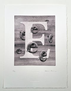 « E », c'est pour l'éléphant de cette série d'alphabets animaux