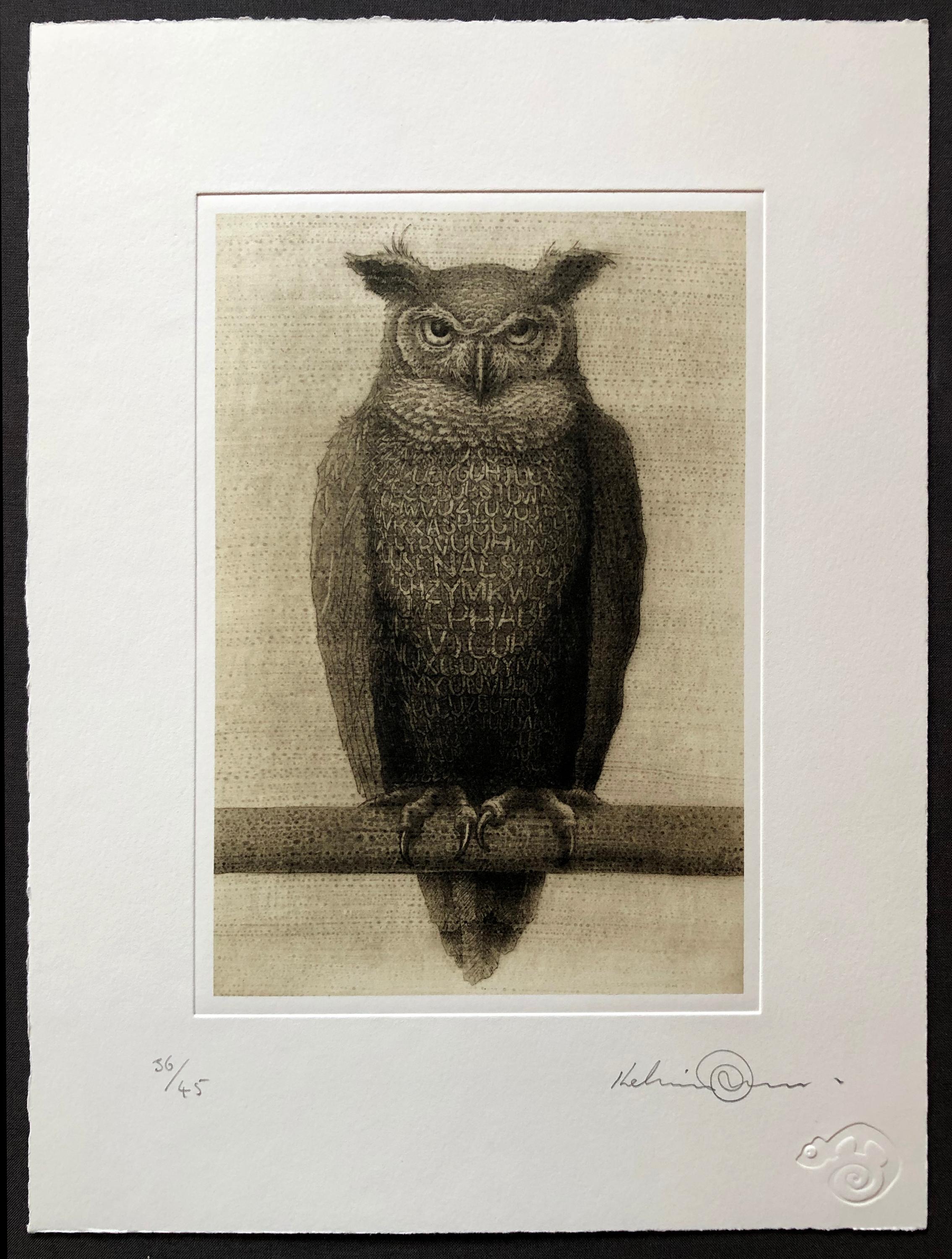 Owlphabet, gravure à l'eau-forte de Kelvin Mann en vente 1