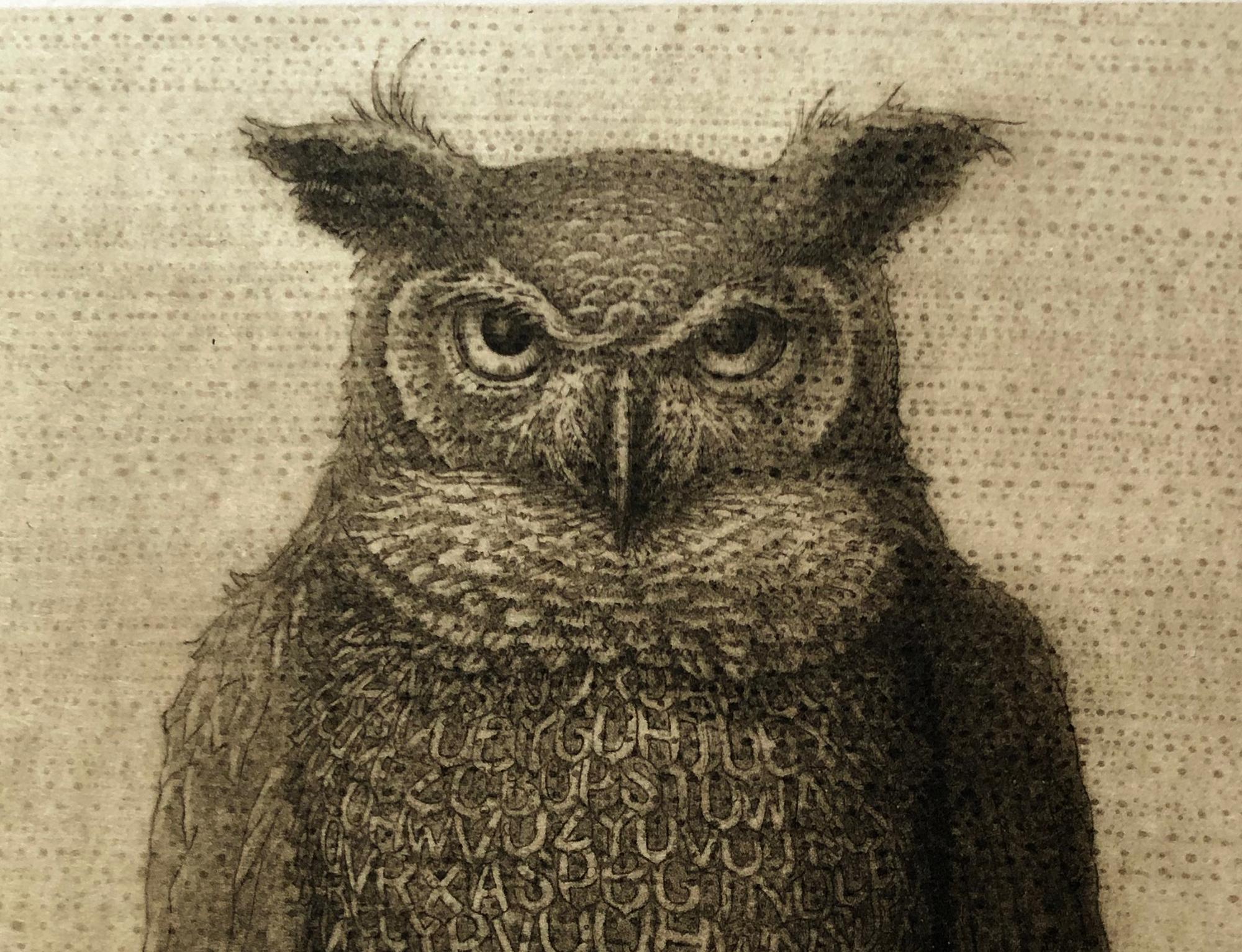 Owlphabet, gravure à l'eau-forte de Kelvin Mann en vente 2
