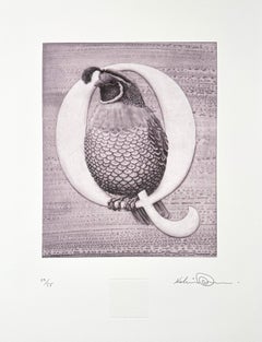 "Q", for Quail, from Kelvin Mann's animal Alphabet