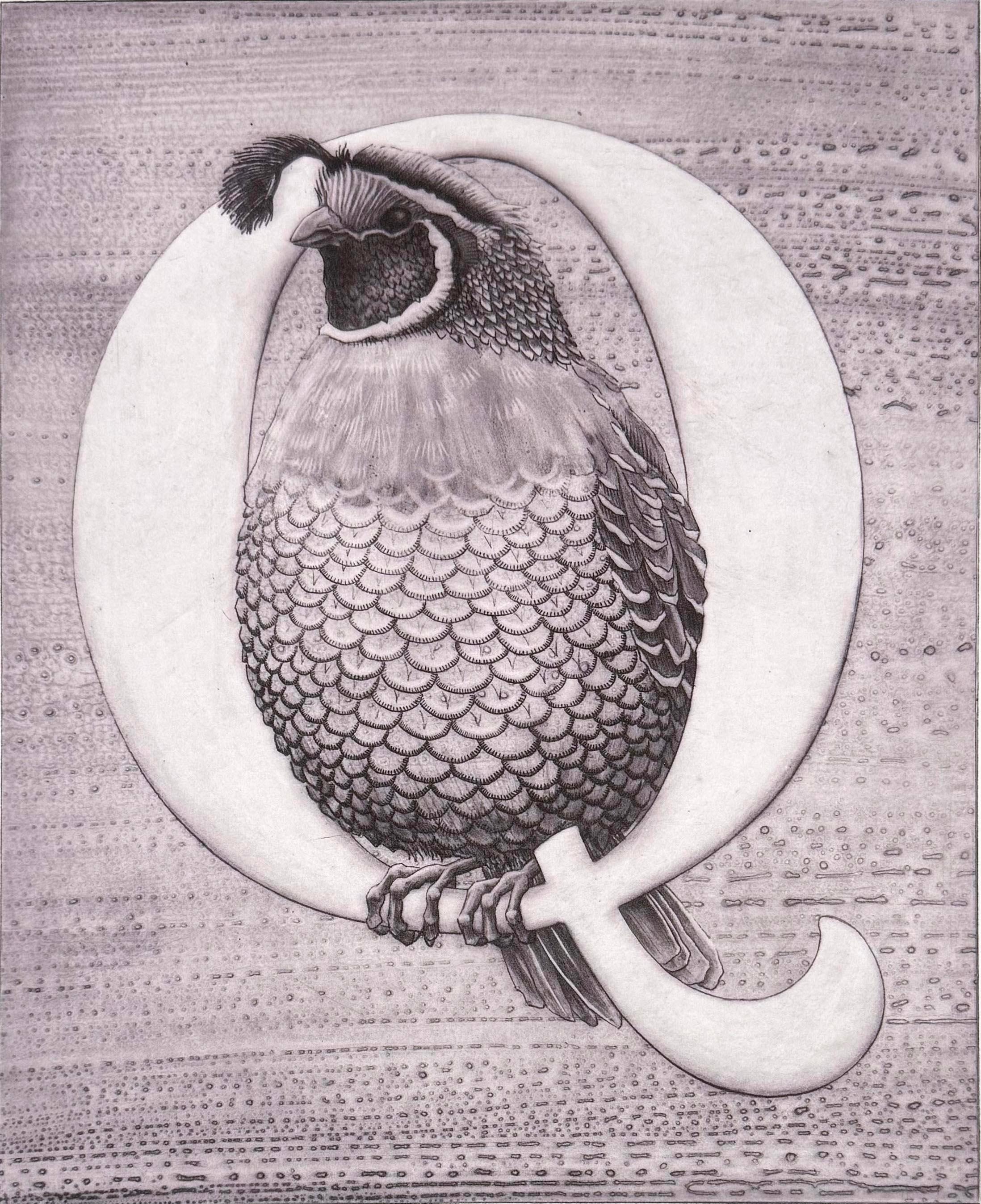 The single letter "Q", from the alphabet, illustrated by a quail. All letters are available, and the full set of 27 etchings in folio box is available for $3200. Animals, real and imagined, populate this imaginative set of prints. More images
