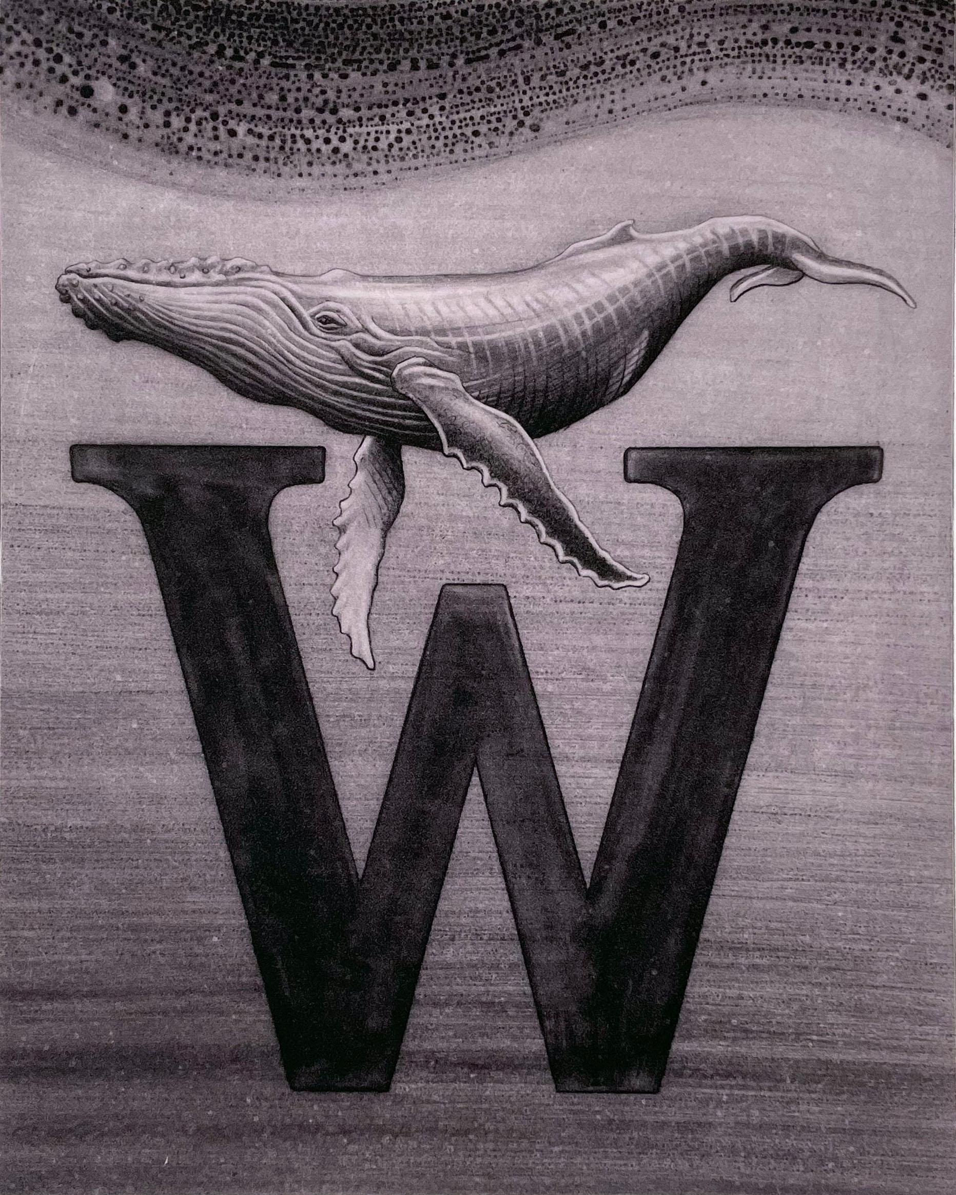 Kelvin Mann Animal Print - "W", for whale in this animal alphabet series