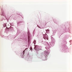 THE NAME OF THE FLOWER: PANSY “JOKER VIOLA-GOLD”