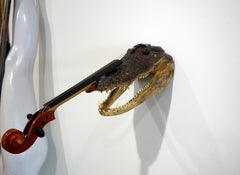 "Crocodile Head Violin" Hybrid Instrument Assemblage Wall Sculpture