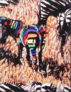 Colors of Africa Abstracted Zebras