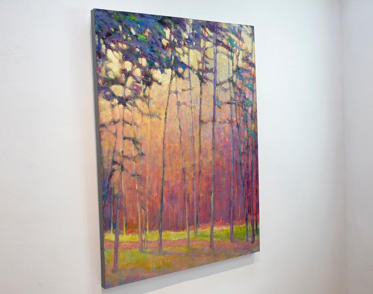 Ken Elliott Light Effects Large Transitional Colorful
