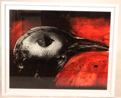 Mapa de pintura de alquitrán, Orev-Raven