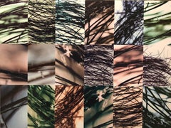 Untitled DYSMORPHOLOGIES SERIES (hair magnification in grid) Mounted to Aluminum