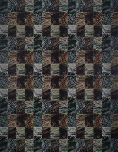 Senza titolo SERIE DI DISMORFOLOGIE (ingrandimento dei capelli in una griglia) Montato su alluminio