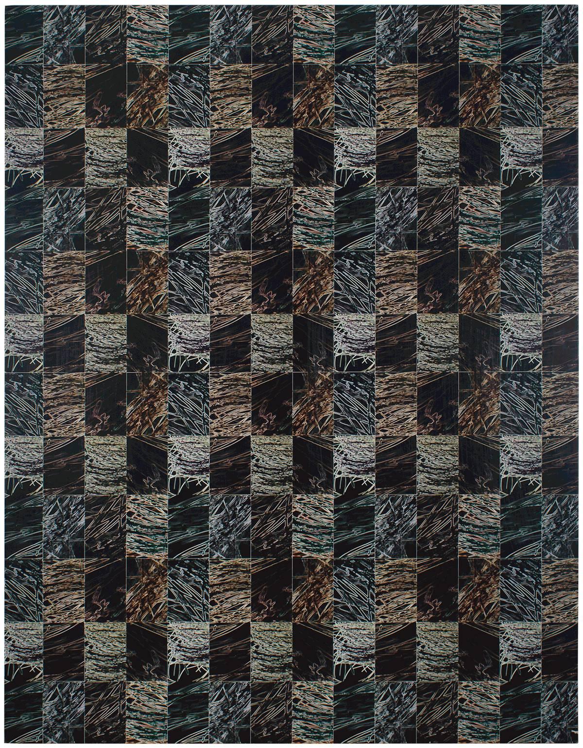 Untitled DYSMORPHOLOGIES SERIES (hair magnification in grid) Mounted to Aluminum