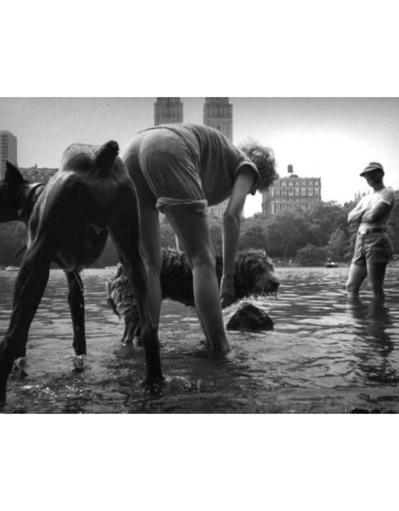 Ken Heyman Black and White Photograph - Dog Wash - Hipshot Series