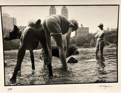 Dog Wash - Hipshot Series
