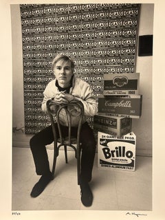The Pop Artists: Andy Warhol with Boxes