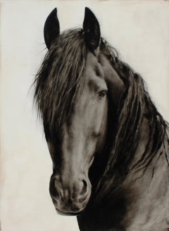 "Bellezza feroce" dipinto a olio in bianco e nero fotorealistico di un cavallo