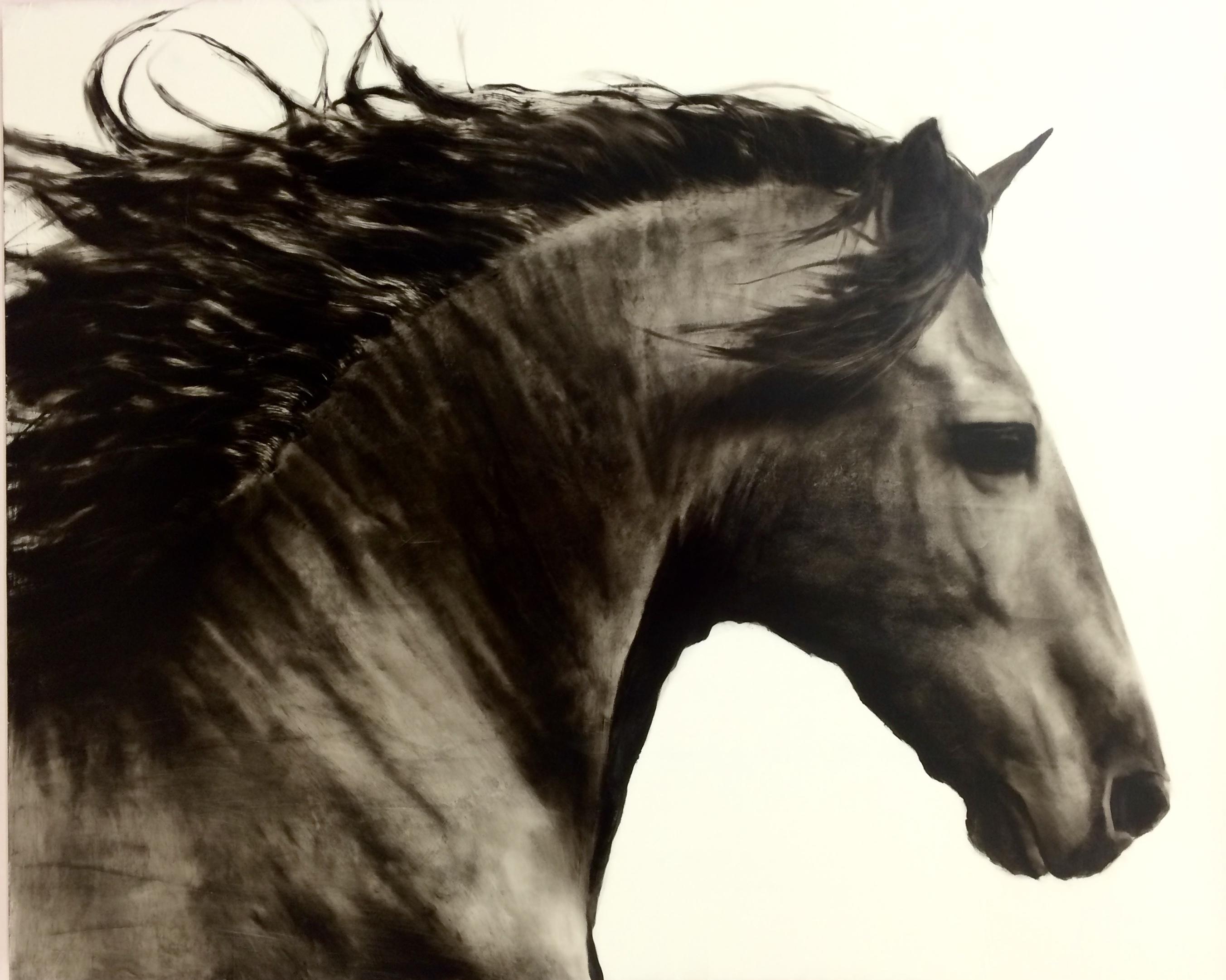 Ken Peloke Still-Life Painting – Flee to Freedom:: Hyperrealistisches Gemälde:: Pferd:: Reiterkunst:: Schwarz-Weiß