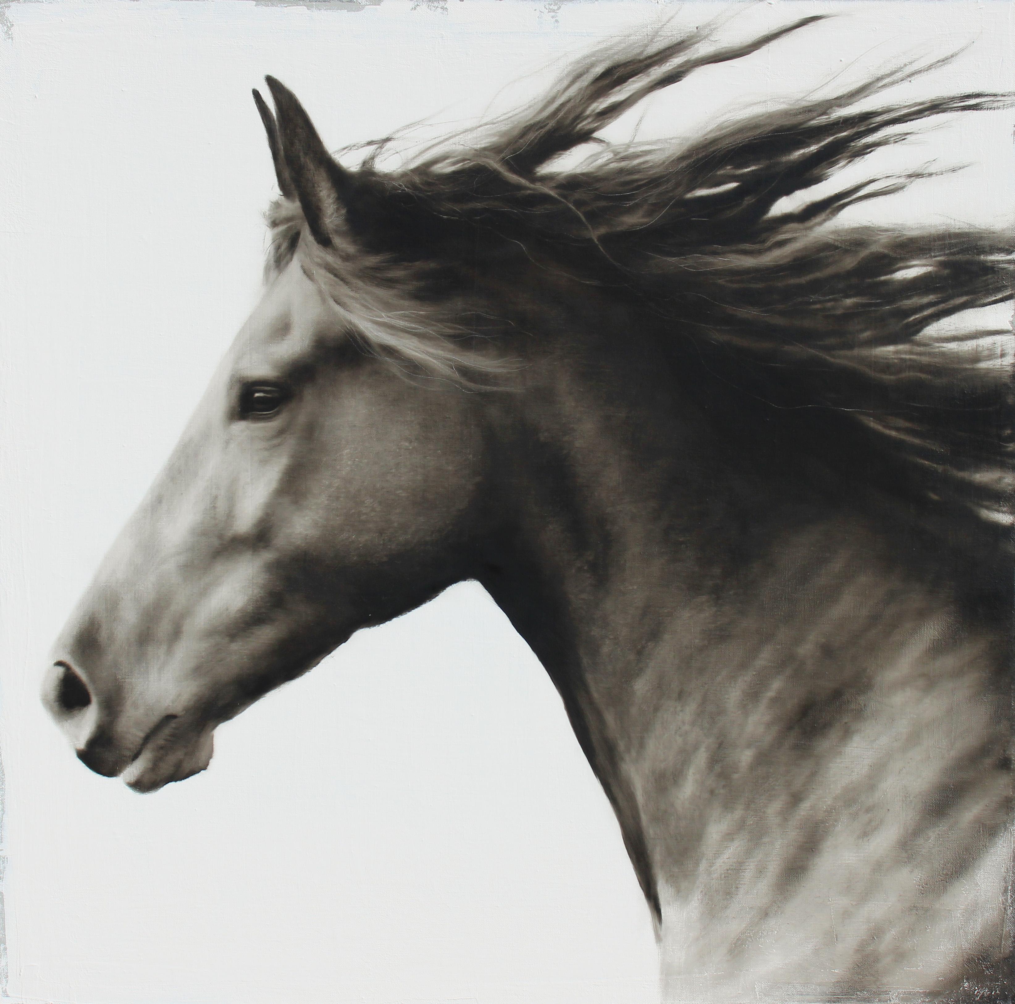 Animal Painting di Ken Peloke - "Fuga verso la libertà" dipinto a olio fotorealistico di un cavallo in bianco e nero