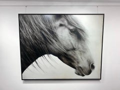 "Wild and Free" black and white photorealistic oil painting of a horse