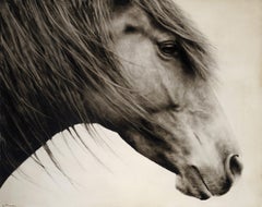"Wild and Free" black and white photorealistic oil painting of a horse