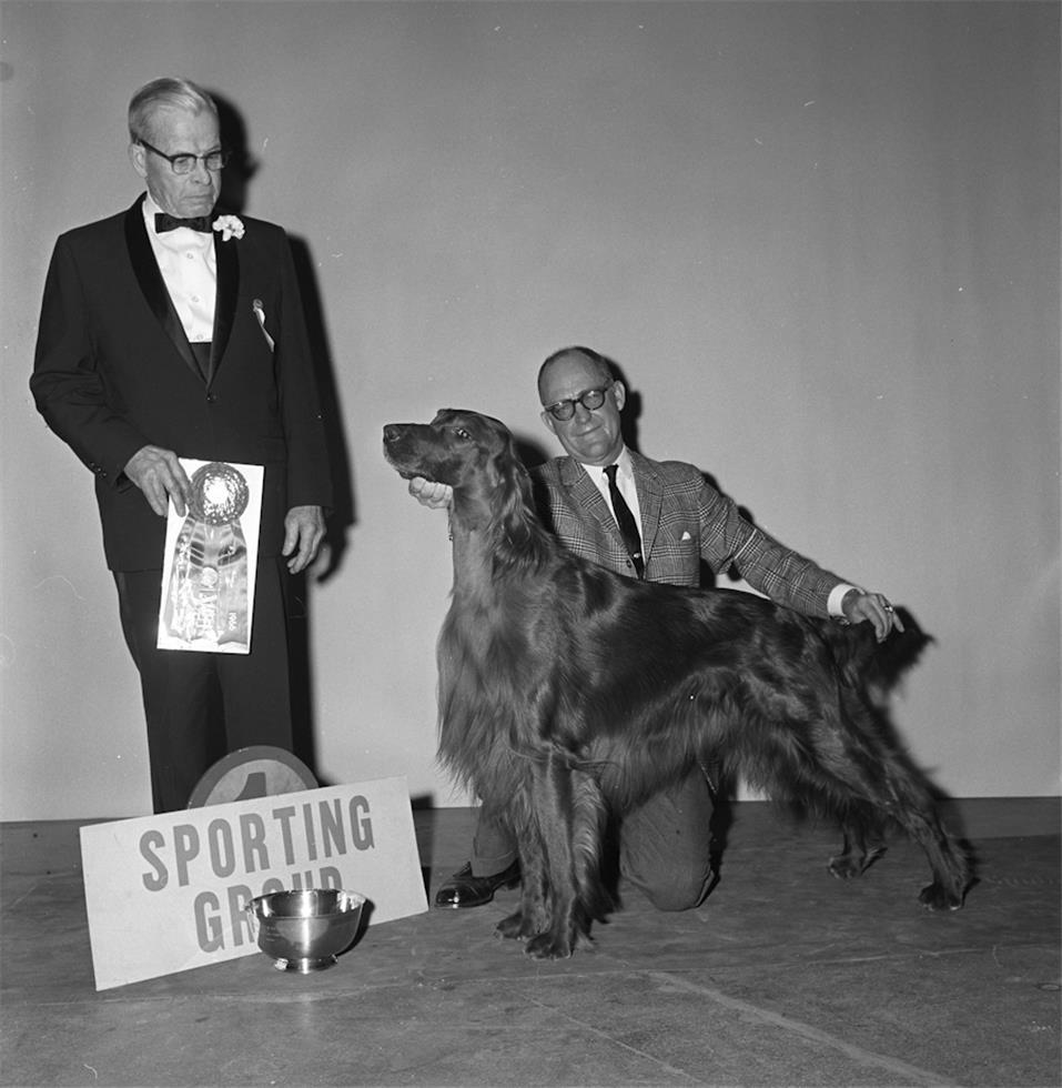 Ken Regan Black and White Photograph - Dog Show, Madison Square Garden, NYC, 1966