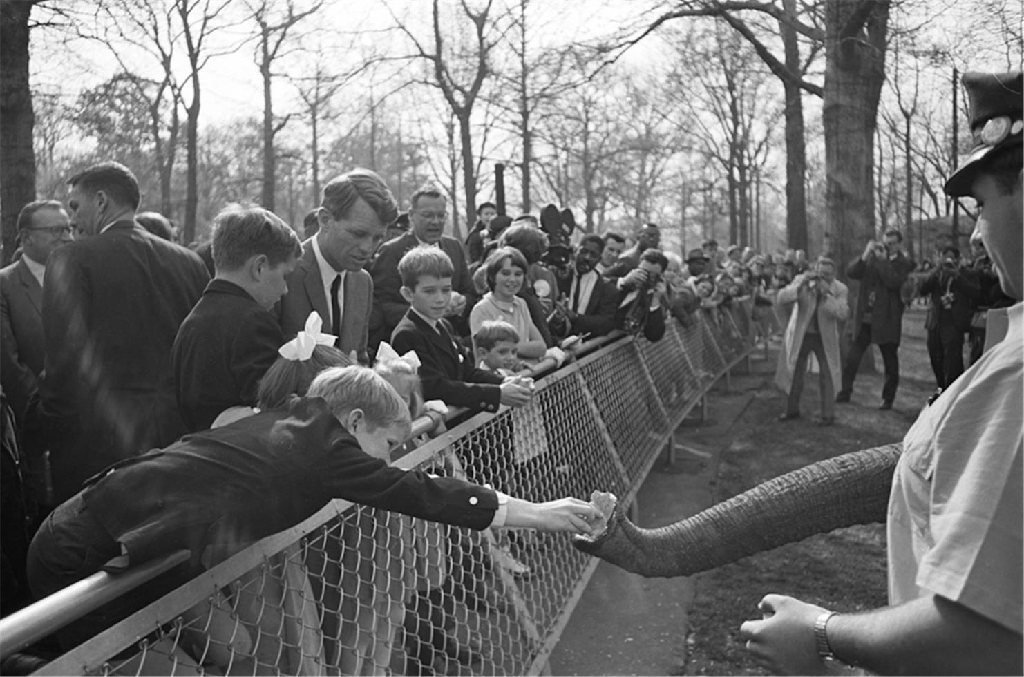 Ken Regan Black and White Photograph - Robert F. Kennedy, Bronx Zoo, NY, 1968