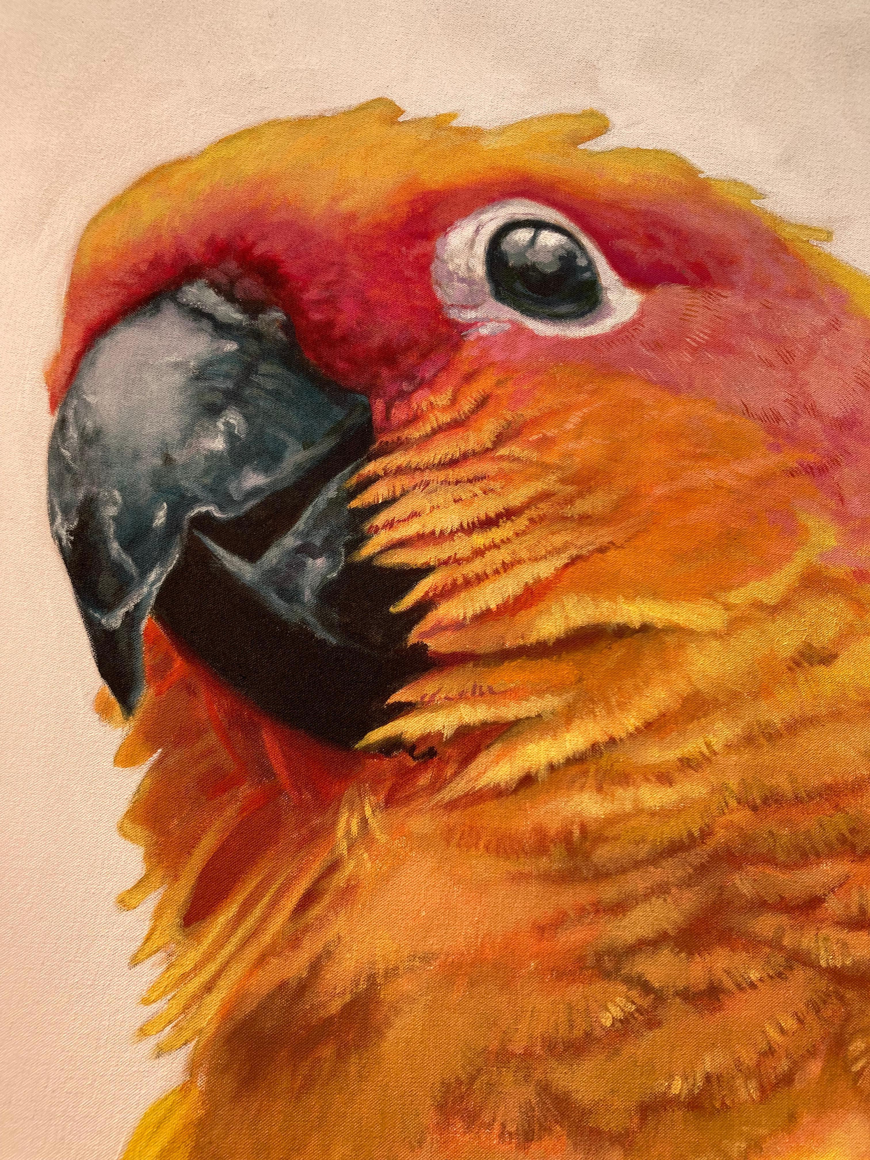Colombina - pintura acrílica contemporánea colorido tropical naranja pájaro loro 2