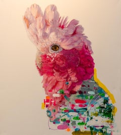 Cucurucu - Acrylic Painting, Bird, Wildlife, colourful, tropical, canvas