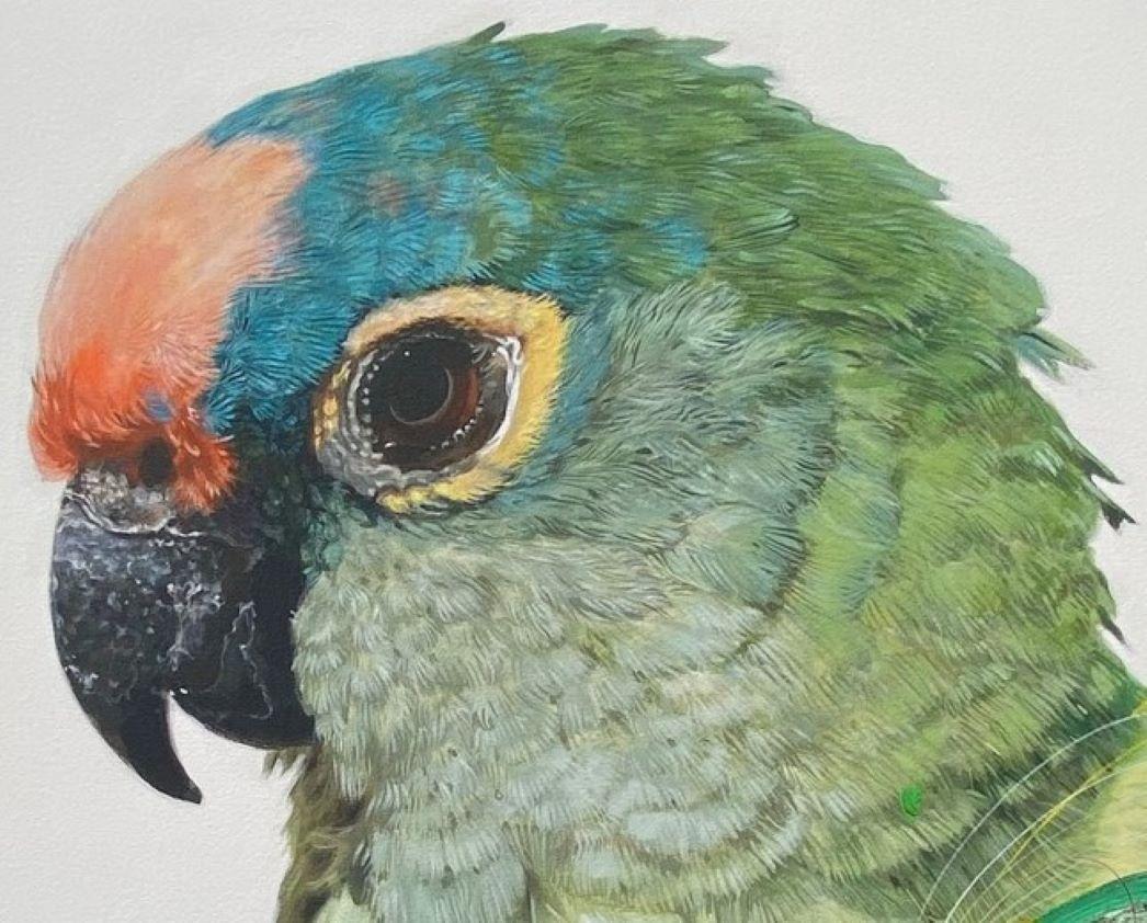 Keng Wai Lee es un pintor formado a un alto nivel. Las magníficas y ricas impresiones de la naturaleza de Keng Wai Lee son una sinergia de cuadros decorativos y representaciones en pintura sobre lienzo de sus recuerdos e imaginación.

Además, sus