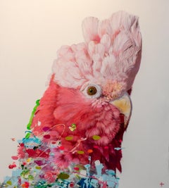 Scapino - Acrylic Painting, Bird, Wildlife, colourful, tropical, canvas